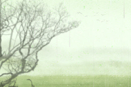 起名常用字吉凶 起名常用字吉凶