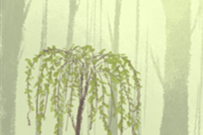 轩辕传奇 轩辕传奇