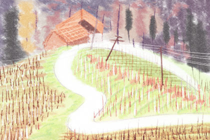 取名大全 取名大全