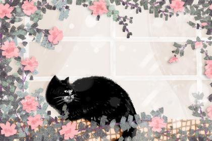 猫咪的<a href=https://www.hmzw.com/html/mingzi.html target=_blank class=infotextkey>名字</a>大全 时尚高雅的猫<a href=https://www.hmzw.com/html/mingzi.html target=_blank class=infotextkey>名字</a><a href=https://www.hmzw.com/html/tuijian.html target=_blank class=infotextkey>推荐</a> 猫咪的<a href=https://www.hmzw.com/html/mingzi.html target=_blank class=infotextkey>名字</a>大全 时尚高雅的猫<a href=https://www.hmzw.com/html/mingzi.html target=_blank class=infotextkey>名字</a><a href=https://www.hmzw.com/html/tuijian.html target=_blank class=infotextkey>推荐</a>