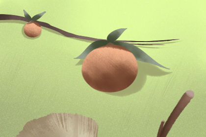 让人眼前一亮的创意水果店<a href=https://www.hmzw.com/html/mingzi.html target=_blank class=infotextkey>名字</a>大全 让人眼前一亮的创意水果店<a href=https://www.hmzw.com/html/mingzi.html target=_blank class=infotextkey>名字</a>大全