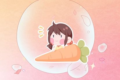 秀字辈起名 取名属什么意思 秀字辈起名 取名属什么意思