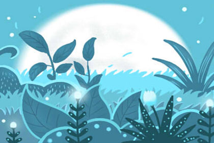 4月13日生日性格解析 4月13日生日性格解析