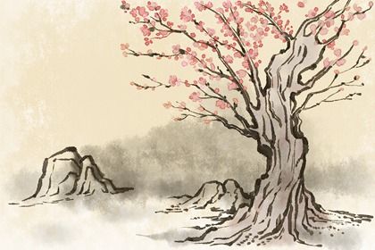 黄山桃树(无字) 黄山桃树(无字)