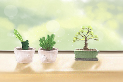 1月3号属狗出生日的命运 1月3号属狗出生日的命运