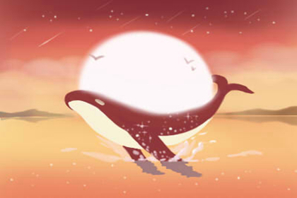 4月30号属猪出生日的命运 4月30号属猪出生日的命运