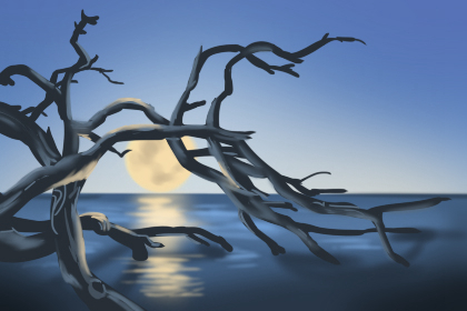 9月5号属狗出生日的命运 9月5号属狗出生日的命运