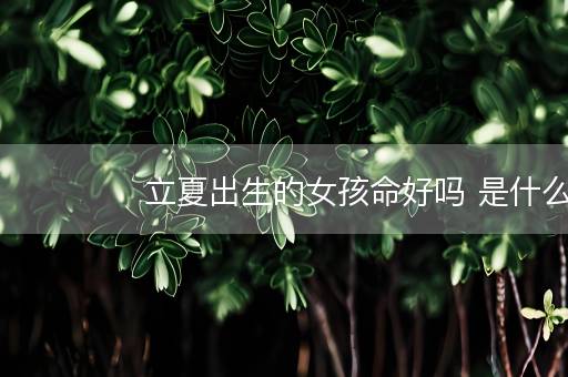 立夏出生的女孩命好吗 是什么命