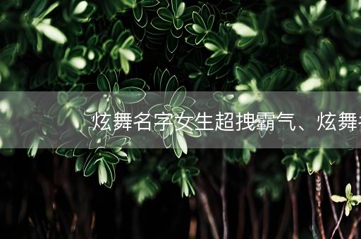 炫舞名字女生超拽霸气、炫舞名字符号格式