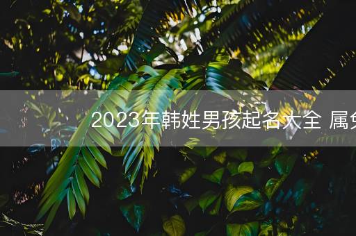 2023年韩姓男孩起名大全 属兔男孩最吉利的名字
