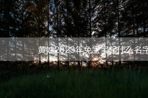 黄姓2023年兔宝宝起什么名字好 兔年宝宝起名宜用字 黄姓2023年兔宝宝起什么名字好 兔年宝宝起名宜用字