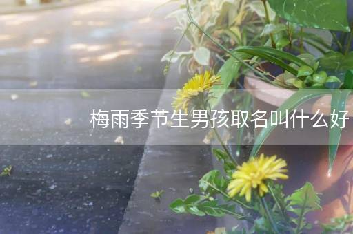 梅雨季节生男孩取名叫什么好 可爱名字