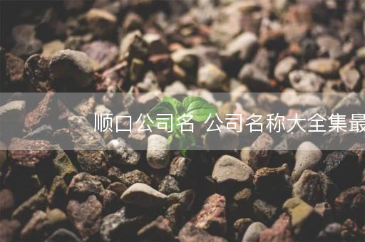 顺口公司名 公司名称大全集最新 顺口公司名 公司名称大全集最新