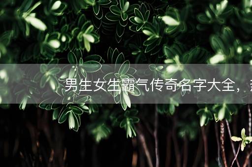 男生女生霸气传奇名字大全，热血传奇名字符号