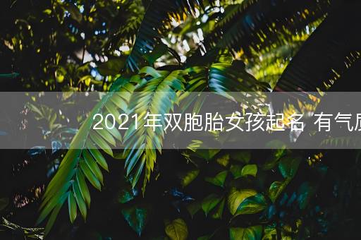 2021年双胞胎女孩起名 有气质的 2021年双胞胎女孩起名 有气质的