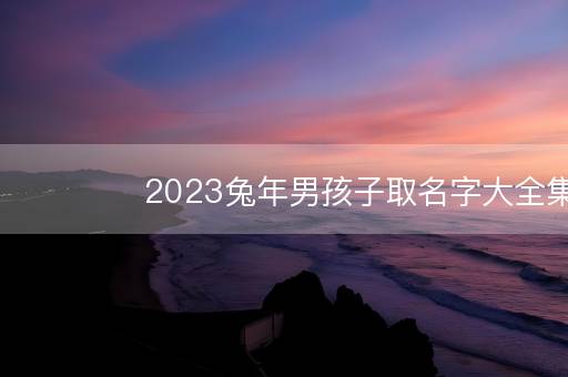 2023兔年男孩子取名字大全集 兔年男宝宝取什么名字好 2023兔年男孩子取名字大全集 兔年男宝宝取什么名字好