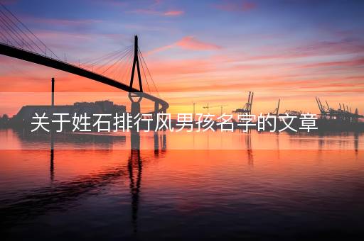 关于姓石排行风男孩名字的文章