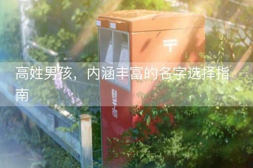 高姓男孩，内涵丰富的名字选择指南