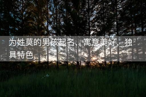 为姓莫的男孩起名，寓意美好，独具特色