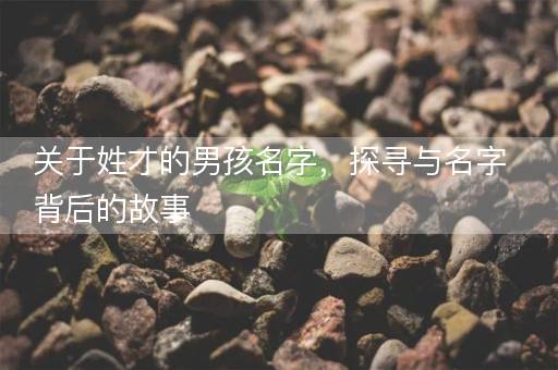 关于姓才的男孩名字,探寻与名字背后的故事 关于姓才的男孩名字,探寻与名字背后的故事