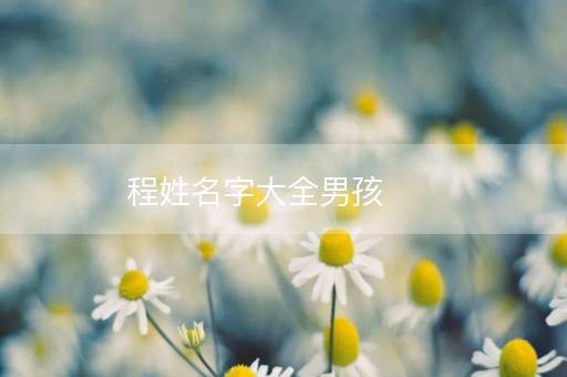 程姓名字大全男孩