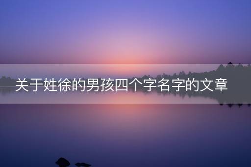 关于姓徐的男孩四个字名字的文章