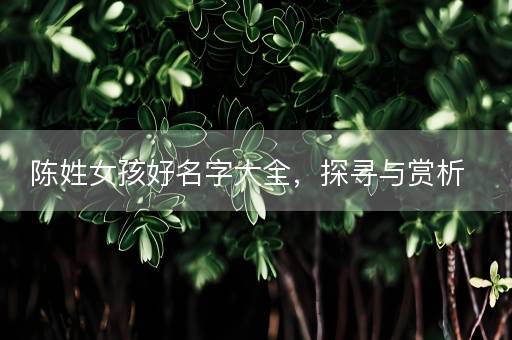 陈姓女孩好名字大全,探寻与赏析 陈姓女孩好名字大全,探寻与赏析