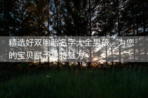 精选好双胞胎名字大全男孩，为您的宝贝赋予独特魅力