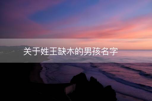 关于姓王缺木的男孩名字 关于姓王缺木的男孩名字