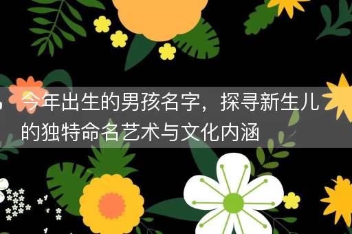 今年出生的男孩名字，探寻新生儿的独特命名艺术与文化内涵