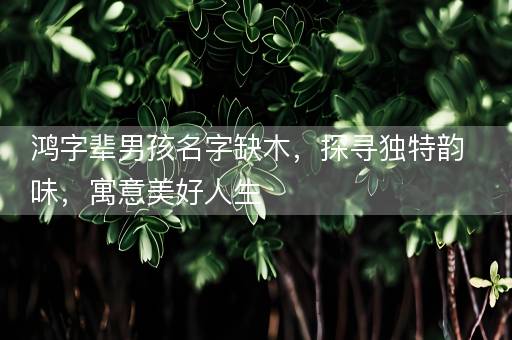 鸿字辈男孩名字缺木,探寻独特韵味,寓意美好人生 鸿字辈男孩名字缺木,探寻独特韵味,寓意美好人生