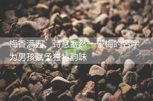 梅香满园,诗意盎然—带梅的名字为男孩赋予独特韵味 梅香满园,诗意盎然—带梅的名字为男孩赋予独特韵味