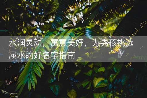 水润灵动，寓意美好，为男孩挑选属水的好名字指南