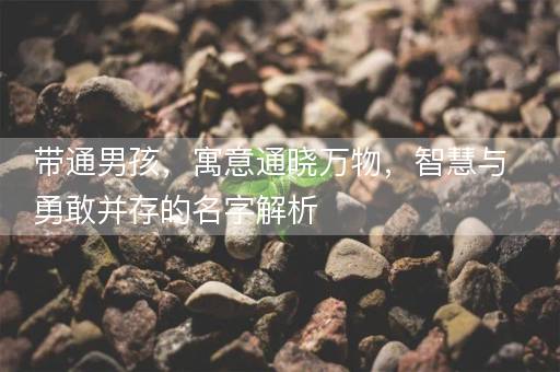 带通男孩，寓意通晓万物，智慧与勇敢并存的名字解析