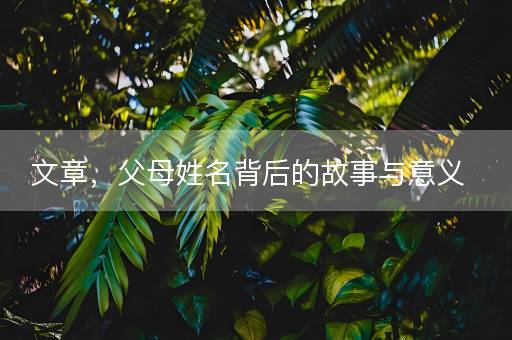 文章，父母姓名背后的故事与意义