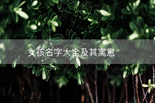 女孩名字大全及其寓意 女孩名字大全及其寓意