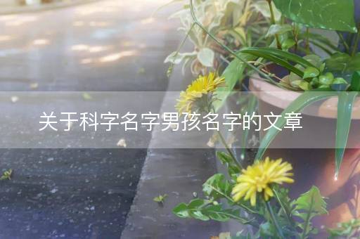 关于科字名字男孩名字的文章 关于科字名字男孩名字的文章