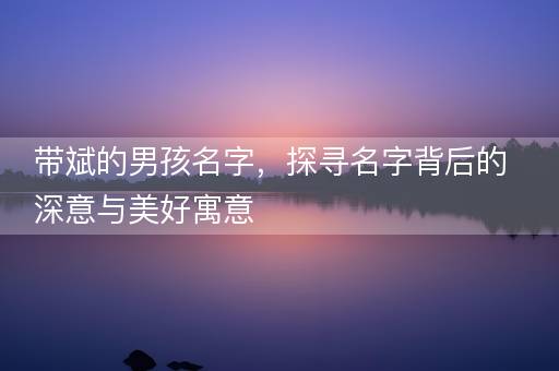 带斌的男孩名字，探寻名字背后的深意与美好寓意