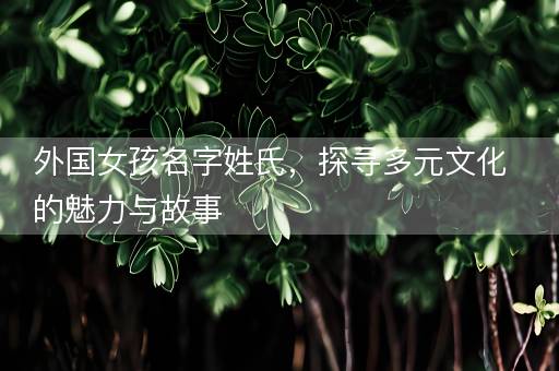 外国女孩名字姓氏,探寻多元文化的魅力与故事 外国女孩名字姓氏,探寻多元文化的魅力与故事