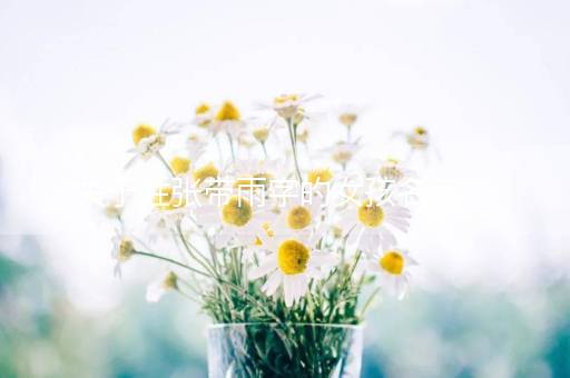 关于姓张带雨字的女孩名字