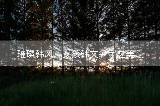 璀璨韩风,女孩韩文名字之美 璀璨韩风,女孩韩文名字之美