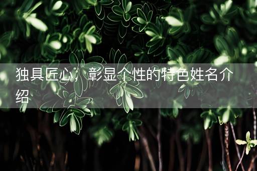 独具匠心，彰显个性的特色姓名介绍