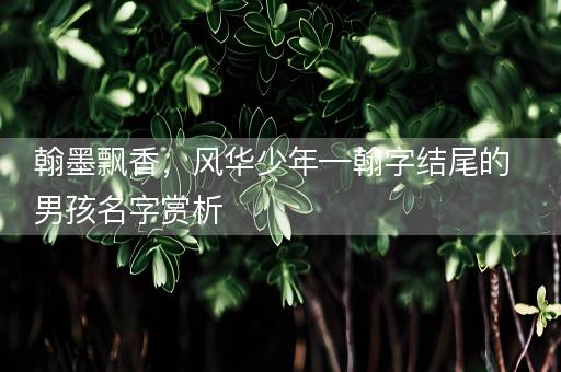 翰墨飘香,风华少年—翰字结尾的男孩名字赏析 翰墨飘香,风华少年—翰字结尾的男孩名字赏析