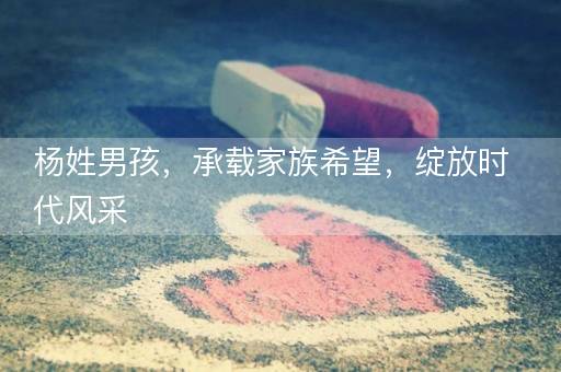 杨姓男孩，承载家族希望，绽放时代风采