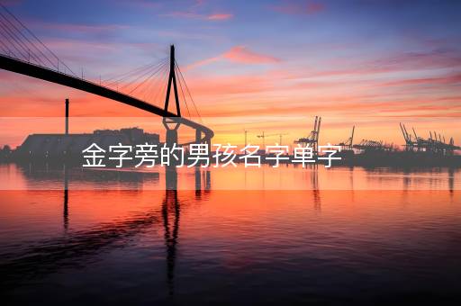 金字旁的男孩名字单字