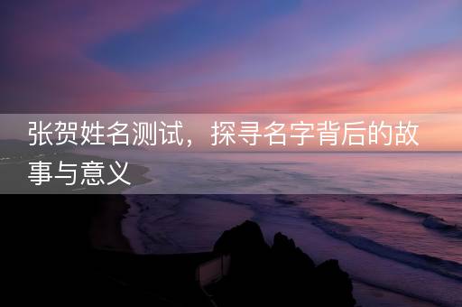 张贺姓名测试，探寻名字背后的故事与意义