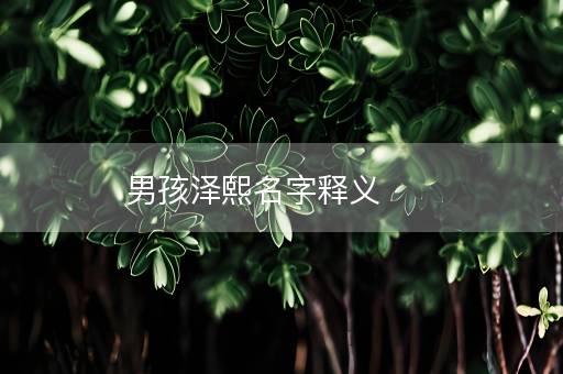 男孩泽熙名字释义 男孩泽熙名字释义