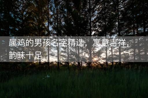 属鸡的男孩名字精选，寓意吉祥，韵味十足