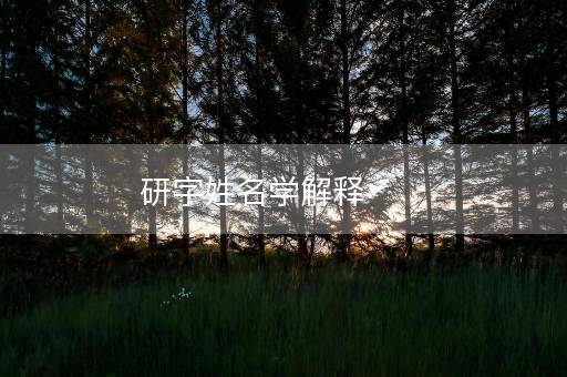 研字姓名学解释 研字姓名学解释