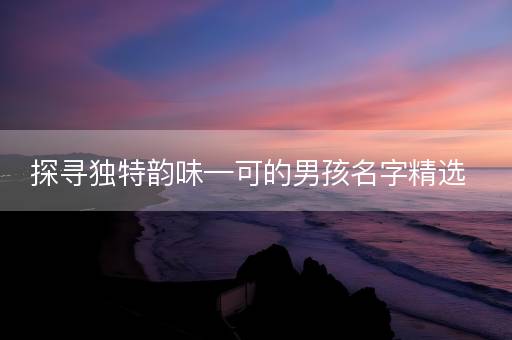 探寻独特韵味—可的男孩名字精选